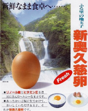 人形焼の山田家指定の卵